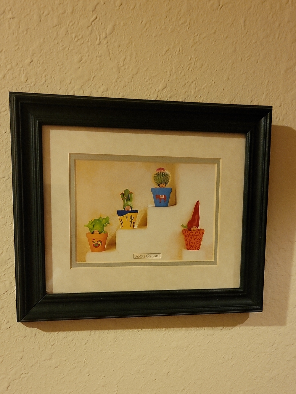 Anne Geddes CACRUS WALL Framed Print 10x12